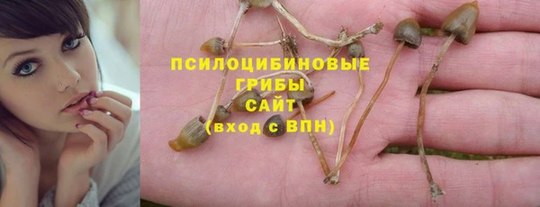 эйфоретик Белоозёрский