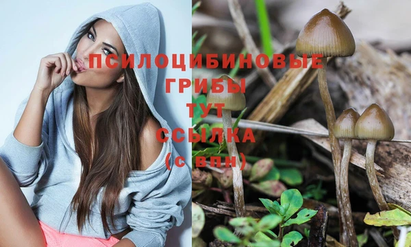 спиды Белокуриха