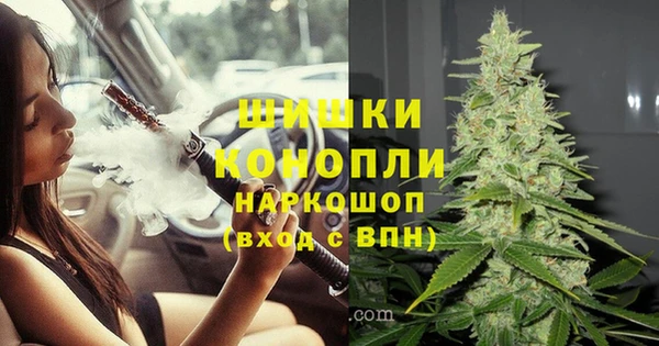 спиды Белокуриха