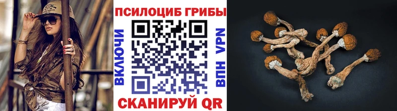 Псилоцибиновые грибы GOLDEN TEACHER  Красноармейск 